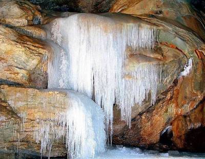 Трехглазка