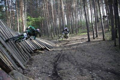 Уктусский лесопарк