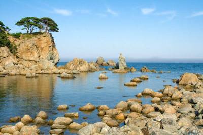 Дальневосточный морской заповедник