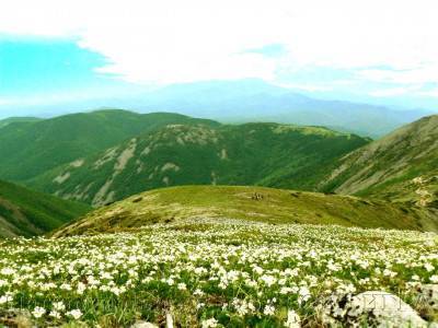 Гора Снежная