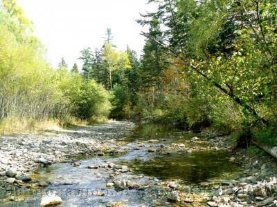 Гора Снежная