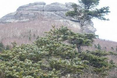 Национальный парк "Зов тигра"