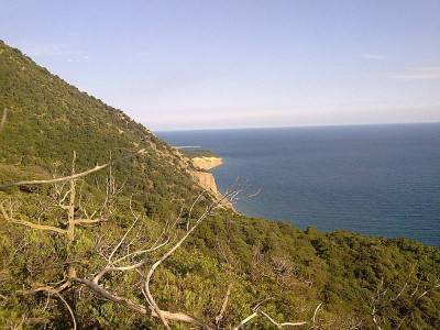 Поселок Малый Утриш