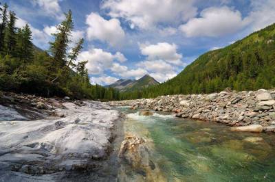 Шумакские источники