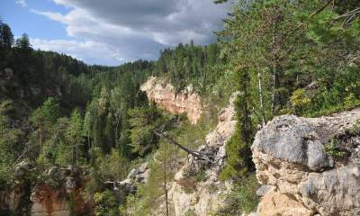 Тараканий лог