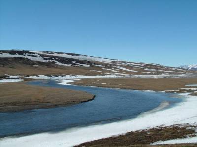 Таймырский заповедник