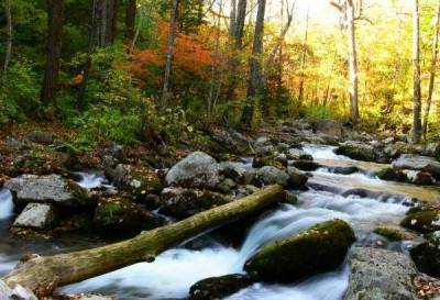Ворошиловские водопады