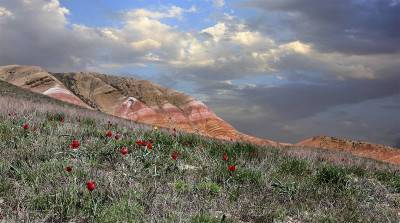 Заповедник "Богдинско – Баскунчакский"