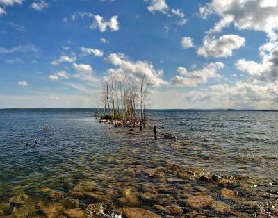 Берёзовый остров