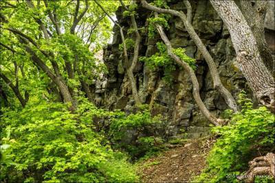 Ближние (Прохоровские) скалы