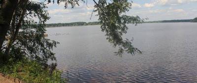 Бухта Лесная