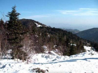 Гора Фалаза