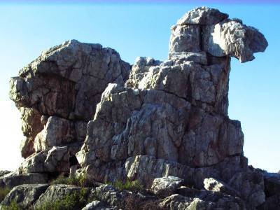 Гора Верблюд