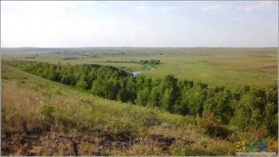 Гора Воровская