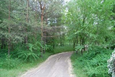 Кумженская роща