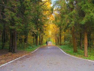 Лыжероллерная трасса имени Л. Лазутиной