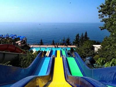 Миндальная роща