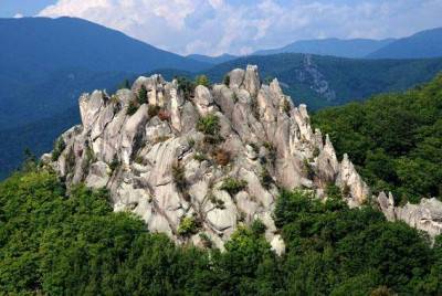 Парк Драконов