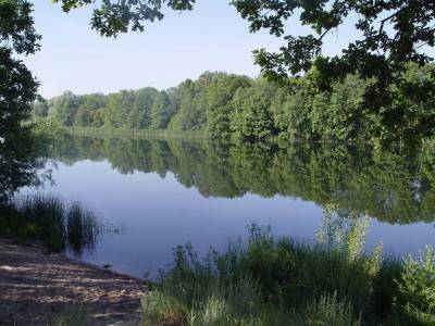 Пляж на Кожевенном кордоне