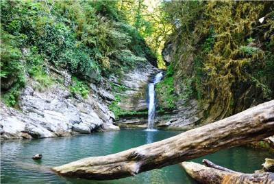 "Самшитовые" водопады