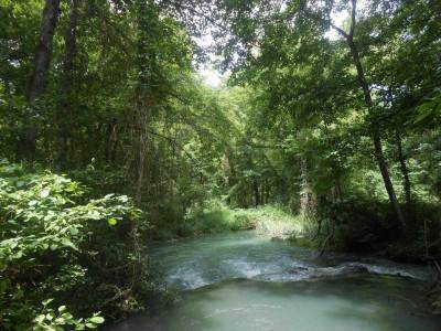 Самурский лес