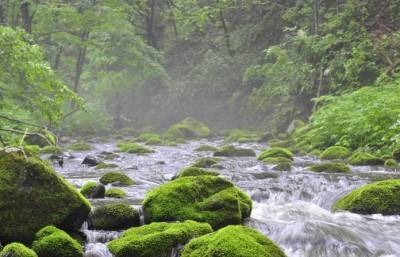 Уссурийский заповедник