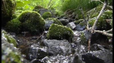 Уссурийский заповедник