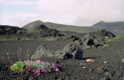 «База Луноходчиков»