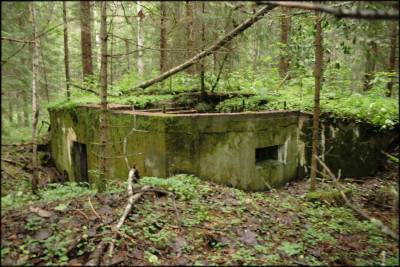 Доты на реке Свирь