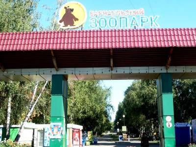 Лесная сказка