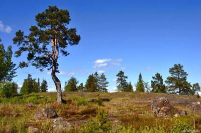 Остров Сухой (Оборонный)
