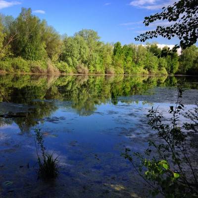 Озеро Пионерское