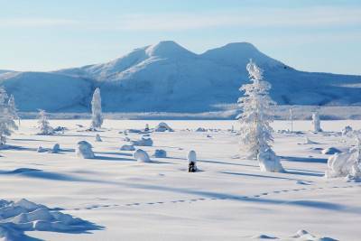 Полюс Холода