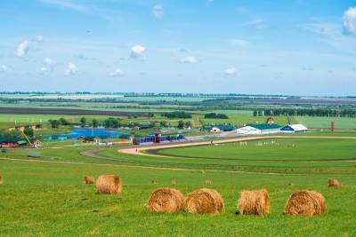 Сибирское подворье