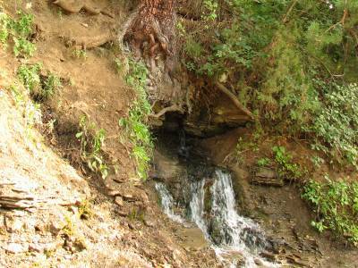 Святой источник Плакун