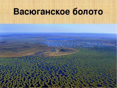 Васюганские болота