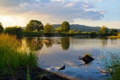 Заповедник Бастак