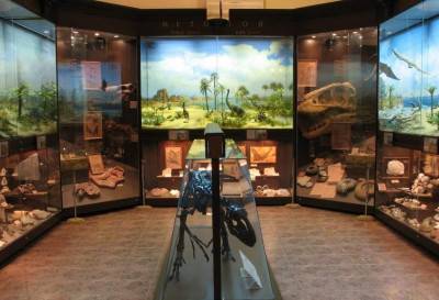 Биологический музей