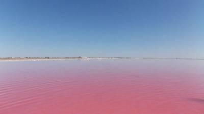 Бурлинское озеро