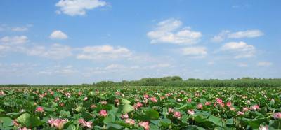 Астраханский биосферный заповедник