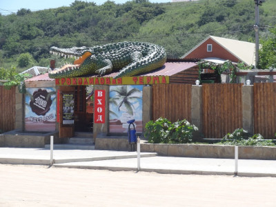 Крокодиловая ферма