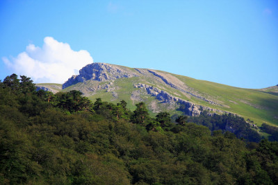 Крымский заповедник