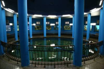 Морской аквариум-музей