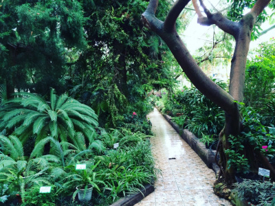 Южно-Уральский ботанический сад УНЦ РАН