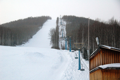 ГБ «Холдоми»