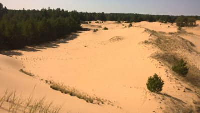 Арчединско-Донские пески