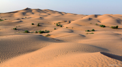 Батпайсагыр