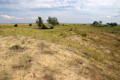 Цимлянские пески