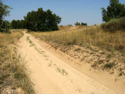 Цимлянские пески