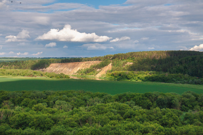 Урочище Кривоборье